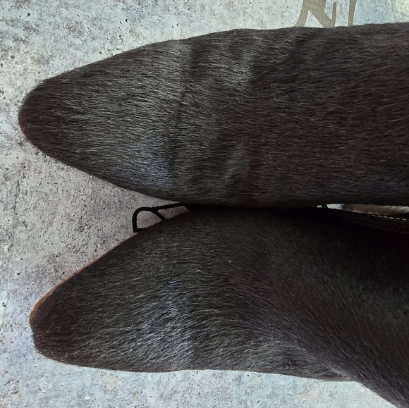 Freebird Joaquin 7 black - Picture 7 of 11